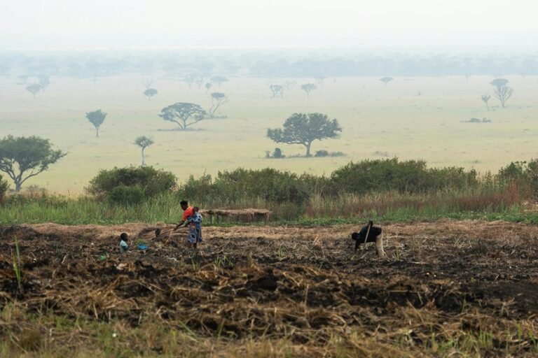 business growth data list