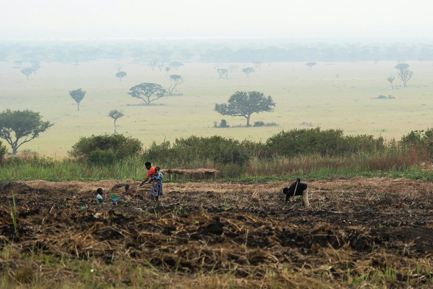 business growth data list